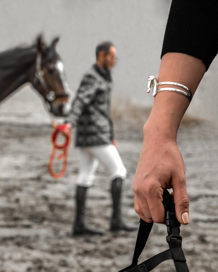 alborz parsi photography horse accessories design